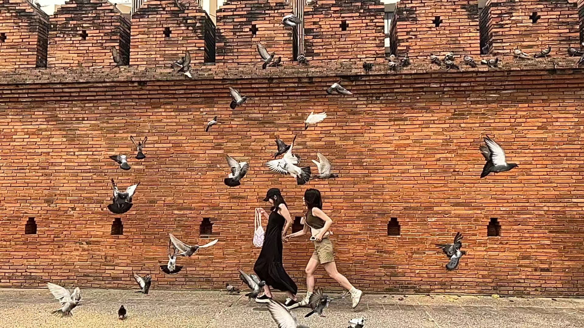 Two people walking past a brick wall as pigeons take flight